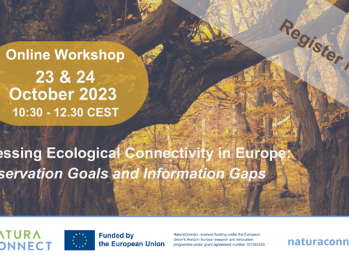 You are invited to join the next NaturaConnect workshop
