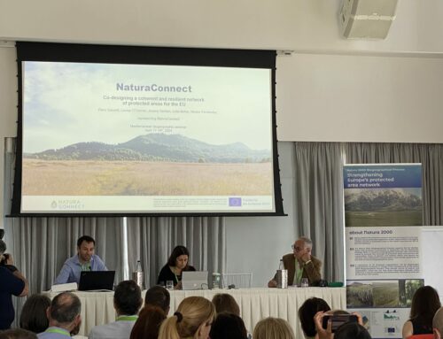 NaturaConnect attended the Mediterranean Biogeographical Seminar in Larnaca, Cyprus