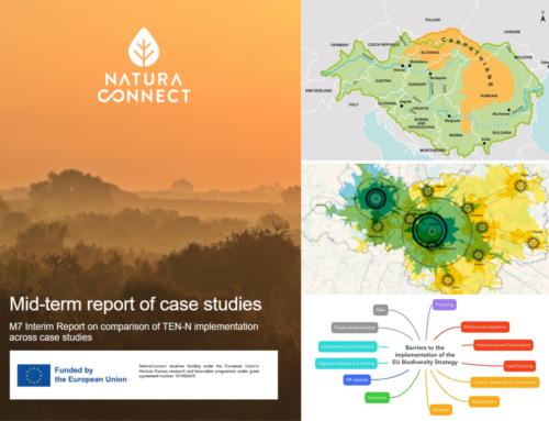 Building Bridges for Nature:  Mid-Term Insights into TEN-N Implementation across 6 Case Studies