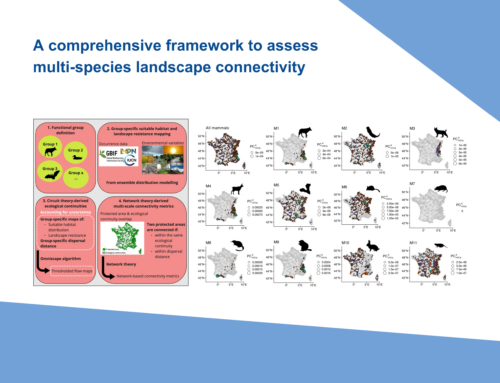 Enhancing Biodiversity Conservation: A New Framework for Multi-Species Landscape Connectivity