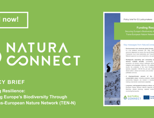 Funding Resilience: Securing Europe’s Biodiversity Through the Trans-European Nature Network (TEN-N)